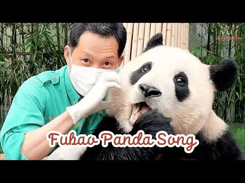 [Vietsub | Fubao BGM độc quyền] Fubao Panda Song (푸바오의 판다송) │에버랜드 판다 동요 (Everland Baby Panda Song)
