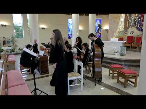 J. S. Bach: Erbarme Dich, mein Gott (St. Matthew Passion, BWV 244)