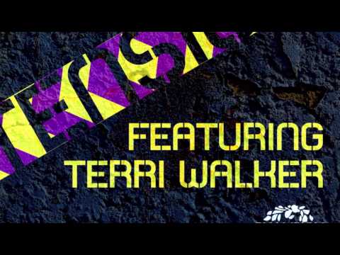 Mike Delinquent Project ft Terri Walker - Tension AUDIO