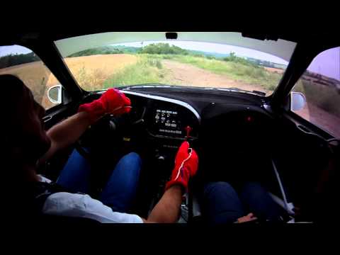 Tergulicza J. Teszt 2015.06.27