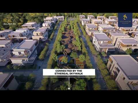 Bluefin Sylvanor Project Tour 1