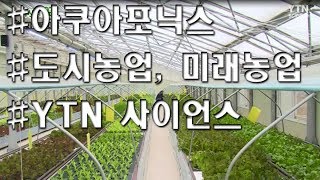 [서유채Farm - 11편] 아쿠아포닉스원리, YTN사이언스, 귀농귀촌, 도시농업