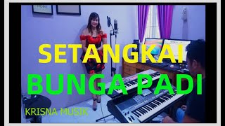 Download lagu SETANGKAI BUNGA PADI DANGDUT YAMAHA PSR 970 mp3 Download lagu SETANGKAI BUNGA PADI DANGDUT YAMAHA PSR 970 mp3