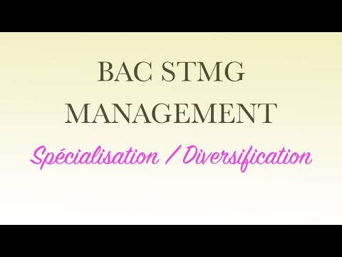 BAC STMG MANAGEMENT : Spécialisation / Diversification