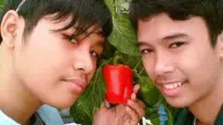 a farewell to a friendship