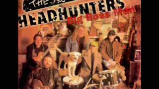Kentucky Headhunters-Take this chains from my heart