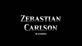 Blackbird - Zebastian
