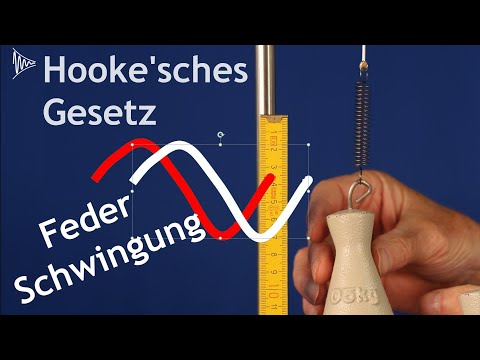 Hook'sches Gesetz und Federschwingungen im Experiment