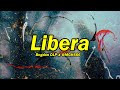 Bogdan DLP X MGK666 Libera Versuri