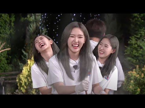 [LOONA] Olivia Hye's 1st Solo Variety Appearance 🐣