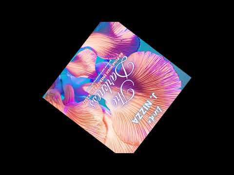 LINDA J. NIZZA - THE DARKNESS ( Re-Prise Hi-NRG Remix 2022 ) by ian coleen