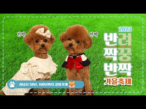 귀여운 애🐶 옆에 귀여운 애😸 2023 반려동물 페스티벌🐕🐩