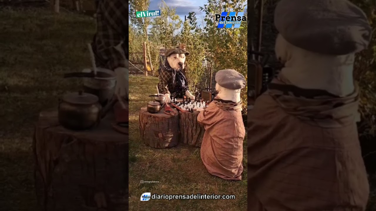 ¿ALGUNA VEZ VISTE DOS PERROS JUGAR AL AJEDREZ?