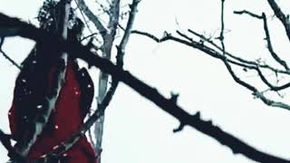 I Believe in Father Christmas - Sarah Brightman | A Winter Symphony