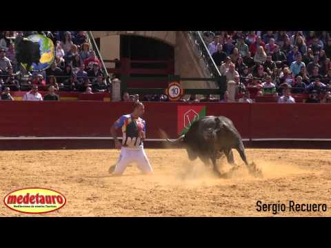 XX Concurso Nacional de Recortes con Toros · VALENCIA Fallas 2015