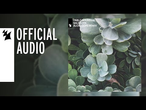 Pablo Nouvelle - Saltburn (Audio Dope Remix)