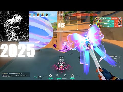 2025: Valorant Aimers