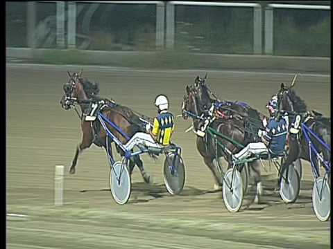 Trotto 14/07/2017 - 8ª corsa