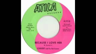 Johnny and the Hurricanes - Because I love Her