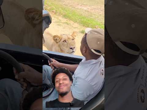 Je crois que depuis ce jour là j'aurais plus été le même homme 🤣 #animaux