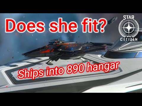 3.17.3 Does she fit into 890? - Ships in the hangar