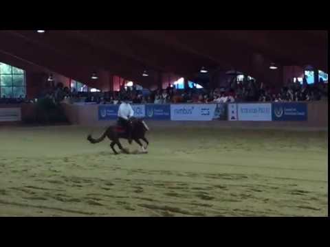 Smart N Sparkin &  Bernard Fonck + Highscore bei der FEI Weltmeisterschaft 2016