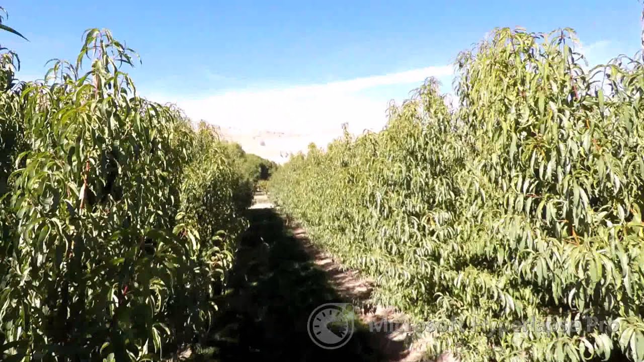 Video: GOPR4533 hyperlapse 3x adv