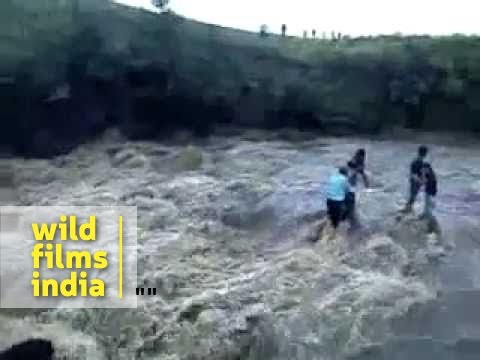Funny Asian videos - Live video PATAL PANI ACCIDENT INDORE