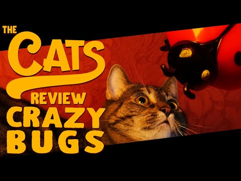 The Cats Review: Karlie Flamingo Crazy Bugs