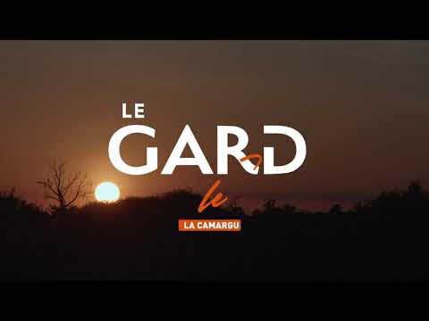 Le Gard Le Sud : la Camargue