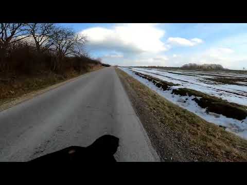 Bieg 5 km Błażowa 11.02.2022