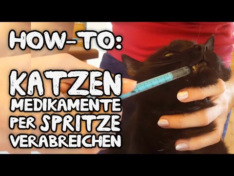 Ein wunder Rücken am Morgen und dann geht Dass sie schmerzen nicht in den unteren Rücken