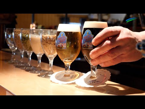 Zum Tag des Deutschen Bieres: So wird Bier gebraut