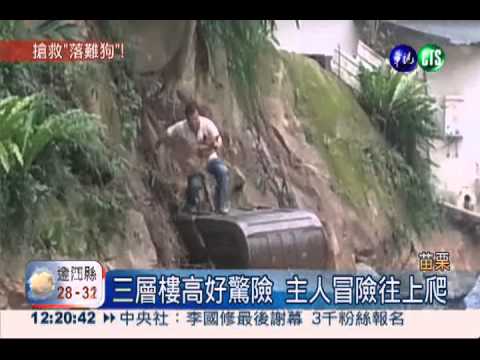 受困懸崖四天 搶救風災落難狗!