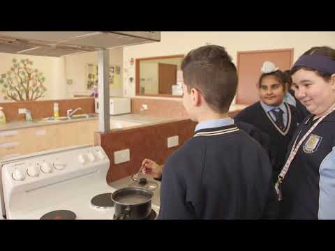 How to pick and preserve olives - part 2