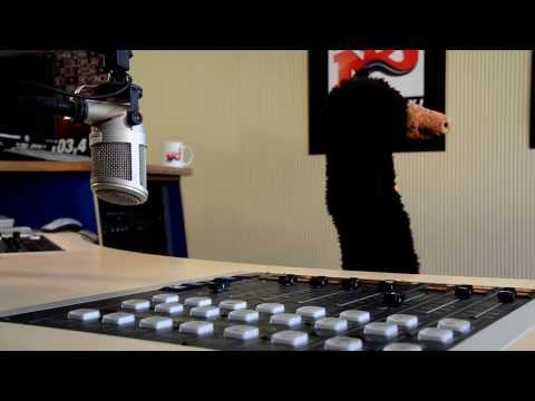 René Marik - Der Maulwurf - Gehaltn