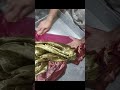 How To Silk Saree Dry Cleaning How To Dry Cleaning Paithani Saree DryCleaning