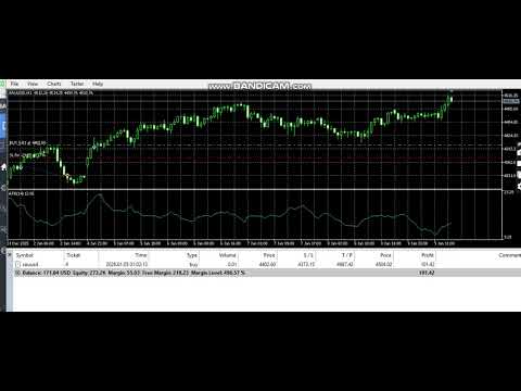 Video Gold Velocity Pro EA