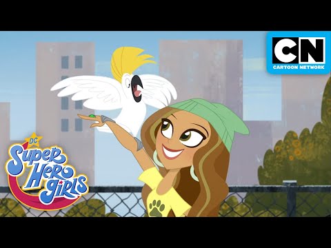 Dexter the Cat | DC Super Hero Girls | Cartoon Network