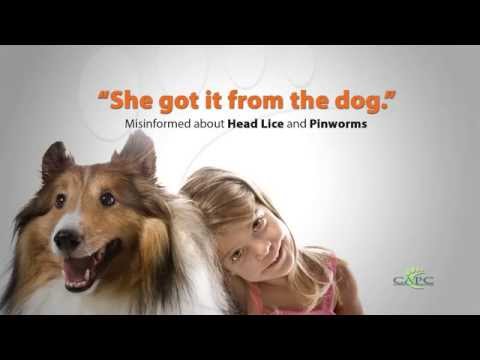 Head Lice and Pinworms: Dr Susan Little