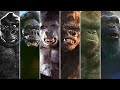 Evolution Of KONG 1933 2024