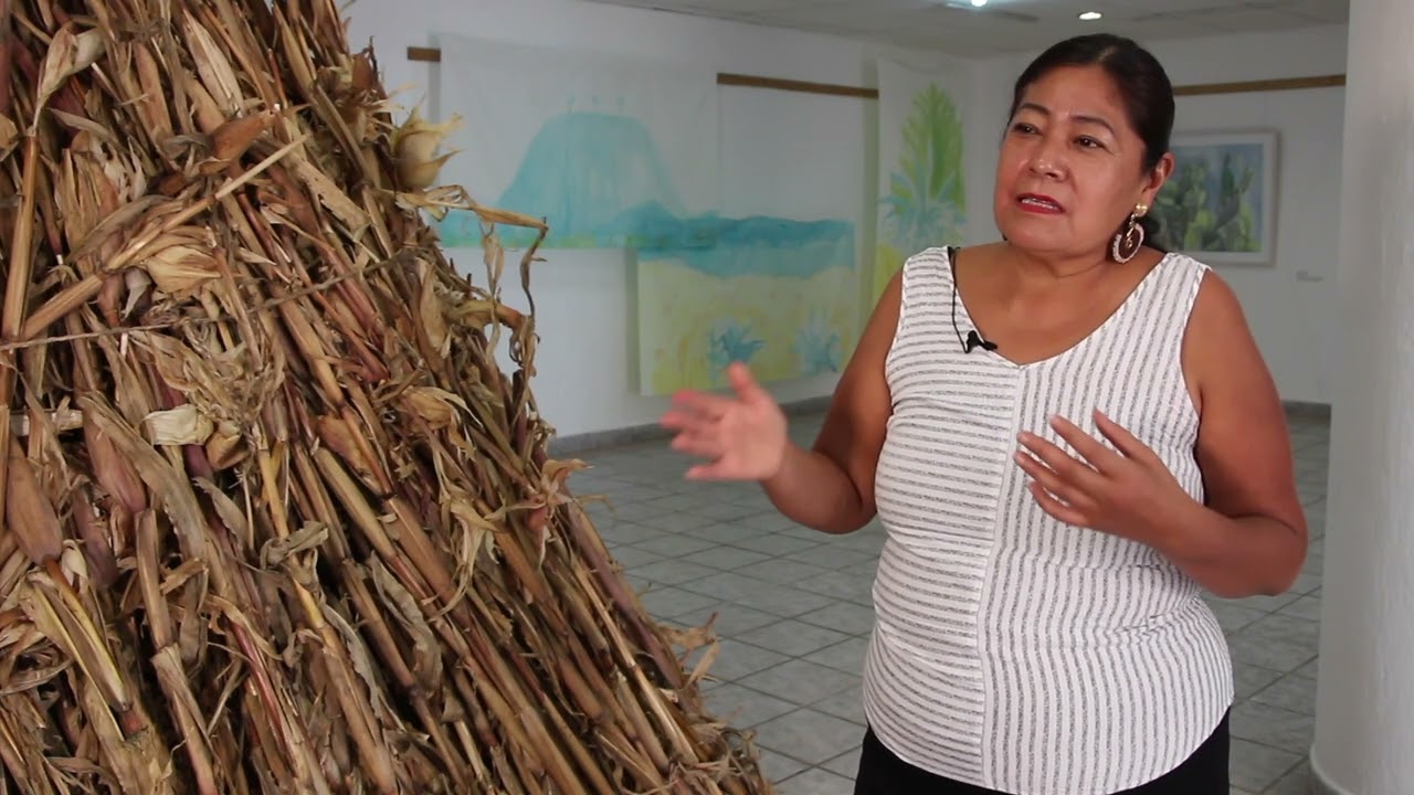 Entrevista Angélica Palma