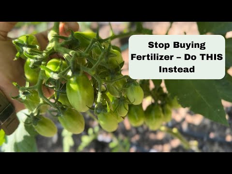 JADAM Liquid Fertilizer (JLF) – The Easiest, Cheapest Fertilizer You’ll Ever Make