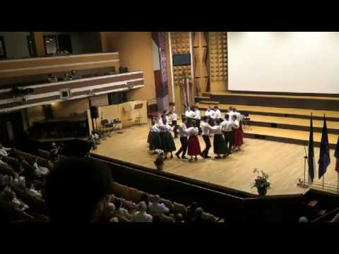 2017.06.10 Vecinul Meu German Heimattage Temeswar T3