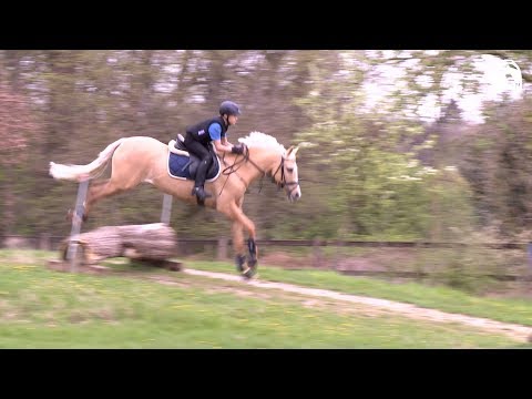 Vielseitige Grundausbildung - Geländereiten: Springen am Hang