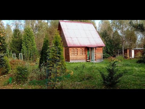 #Недорого #уютная #дача #мебель #СНТ #Березовка #Клин #природа #участок ухожен #АэНБИ #недвижимость