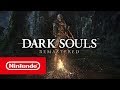 Гра Dark Souls: Remastered для Nintendo Switch (Картридж) ENG