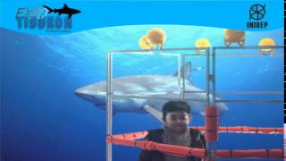 DIA 2 Expo Tiburon35