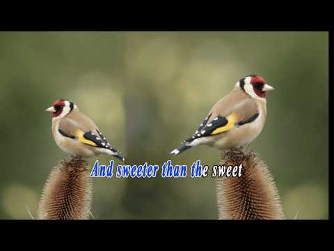 Lord Jesus Christ Our Heart Feels Sweet English version