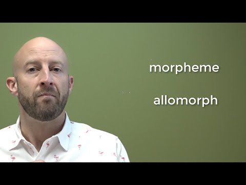 Morphologie (Teil 2)